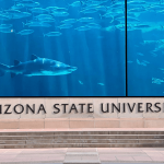 Arizona State University Professor Develops Innovative Device to Save Sharks