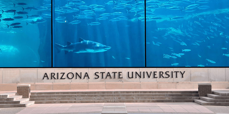 Arizona State University Professor Develops Innovative Device to Save Sharks