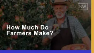 How Much Do Farmers Make in 2024: Income, Benefits, & Growth